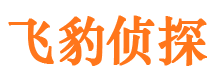 麻栗坡市侦探调查公司